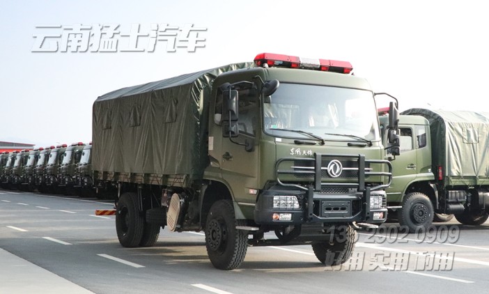 液壓尾板車,電動升降圍板車,物流倉儲車,港口貨物運輸車,東風(fēng)天錦專用車,DFH1180,18噸物流車