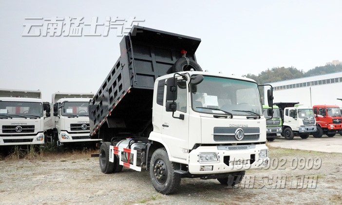 東風(fēng)4*2卡車,天錦自卸車,東風(fēng)天錦報價,載重5噸自卸車,160馬力自卸車,DFL3120B